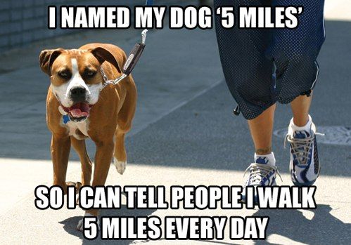 db4a405729c14d2435575d05cb3ba9dd