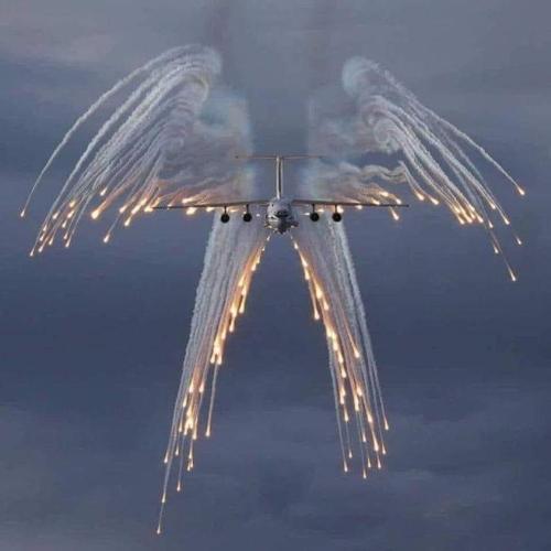 2F98D1EE-8DFC-4F9E-9728-410B68C9C5B1
