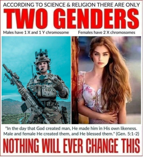 3 img