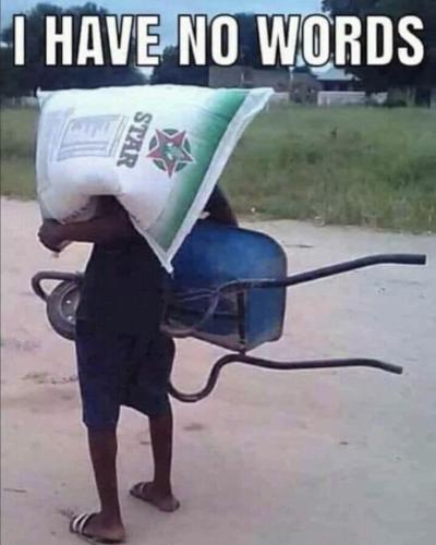 f80a16281d3badde5d90ce3c891a8951