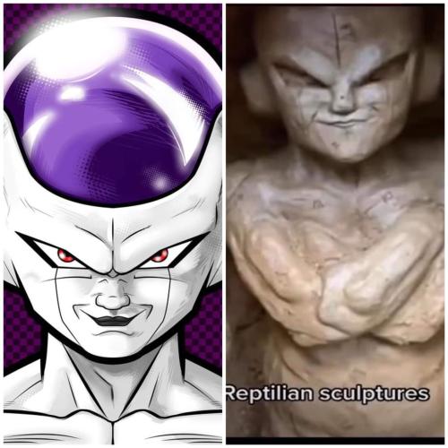 FB_IMG_1702104503052