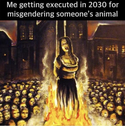 photo_2023-12-15_13-37-11