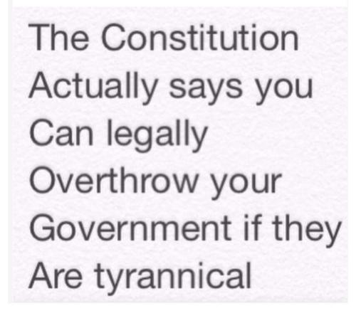 FB_IMG_1702386267185