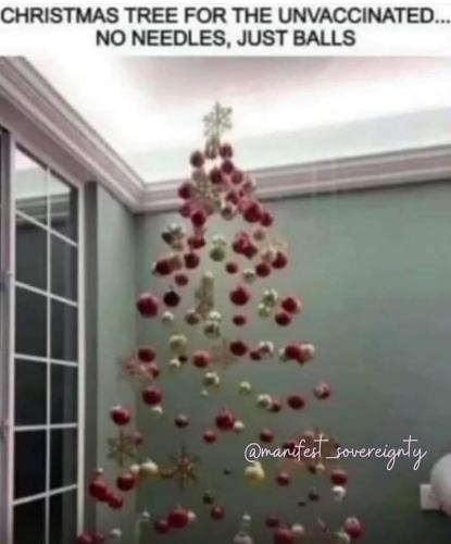 FB_IMG_1701677938762