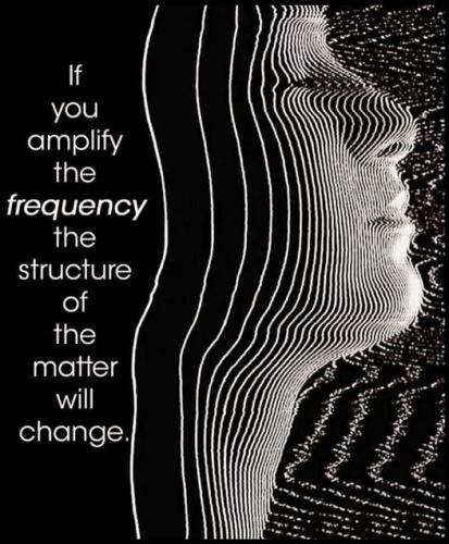 .       407158612_72510079949.