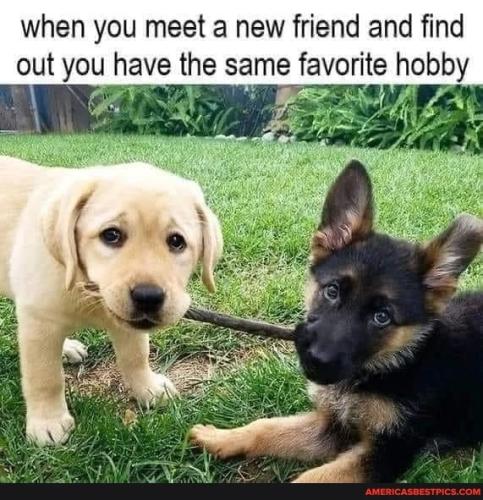 Resized_57e41f2bc5b43508e6a46a5d12973f2f95706360519830a9bf830d7883f71ecf_1(1)