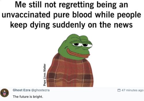 411210878_6640373289402279_6827797256726883881_n