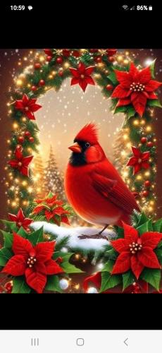 Screenshot_20231224_105953_Facebook