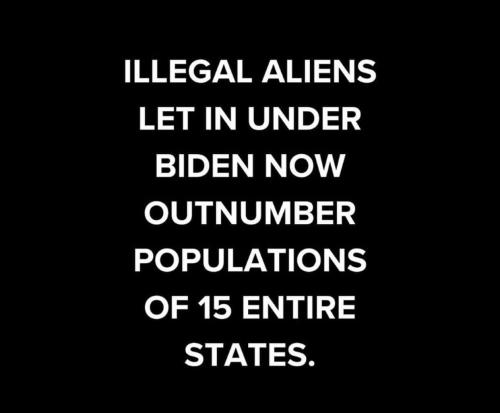 illegals f