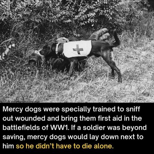FB_IMG_1703216979844