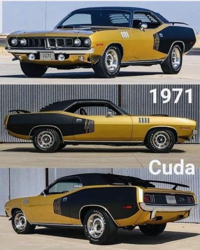 FB_IMG_1701558534930