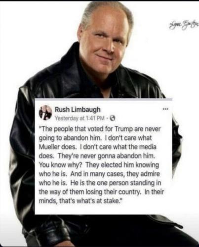 6e9375af0aa9818c41e21269da4ee4be_768x0