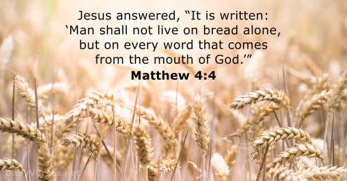 Matthew 4_4