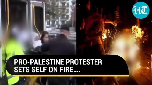 No More Goat shaggers video cover