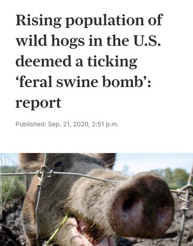 Screenshot_20231213-094026_DuckDuckGo