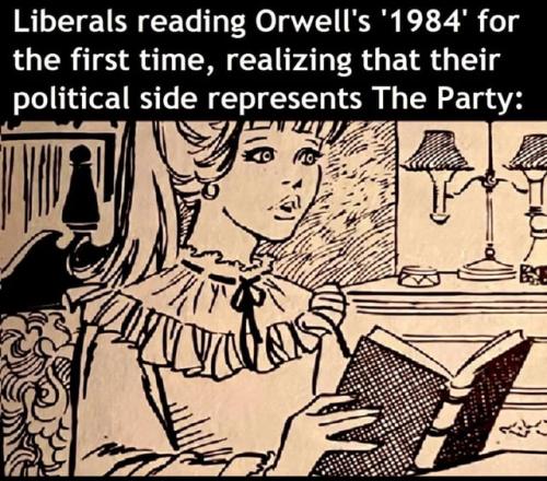 tell-me-youve-never-read-1984-without-telling-me-youve-v0-npynlfuz9ukb1