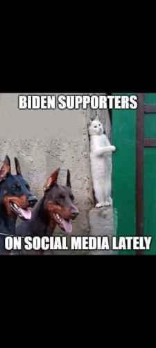 Screenshot_20231104-124119_Gallery