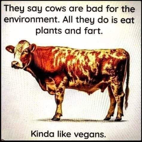 cows are bad