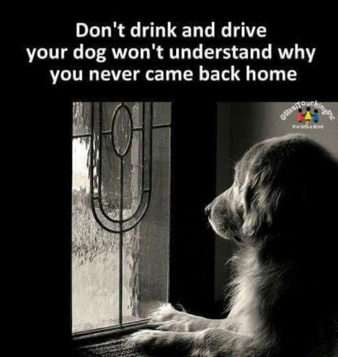 dd330034269caada01e358ba536b92ac