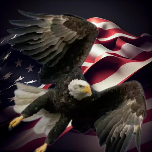 Polish_20231220_192718841