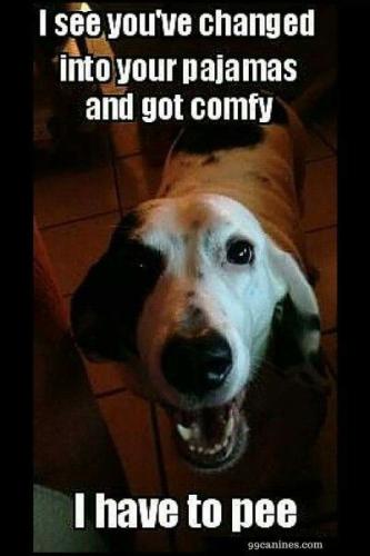 e7f2f2e2541331c50d7a907aadb17ee5