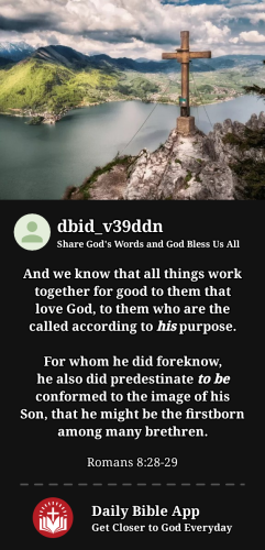 2023-12-121702378620877