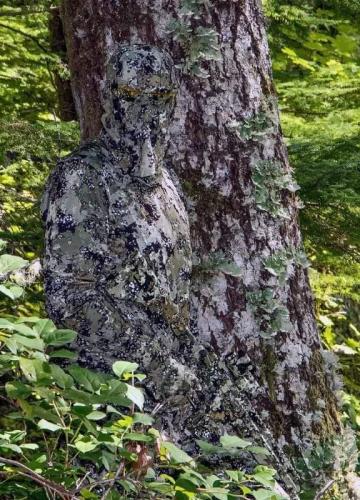 FB_IMG_1702078508068