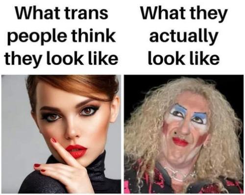 transgender360