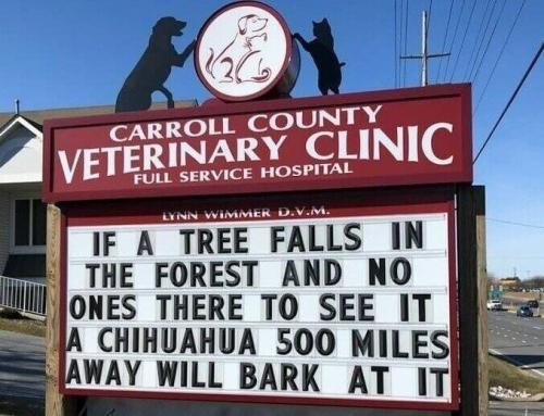 17028978303804098468683762506154