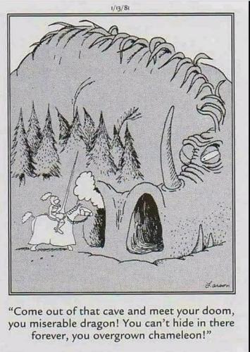 406378377_305823592425484_7598196685510322159_n