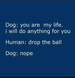 e4f84a452aa1ec467170bf58fc34579d