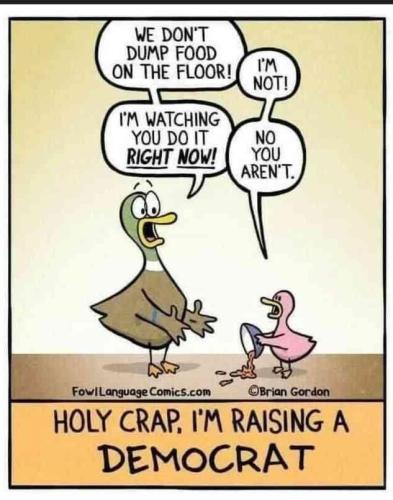 sngine_105c975fa37dd8a7957b4e6f4e95a5f1