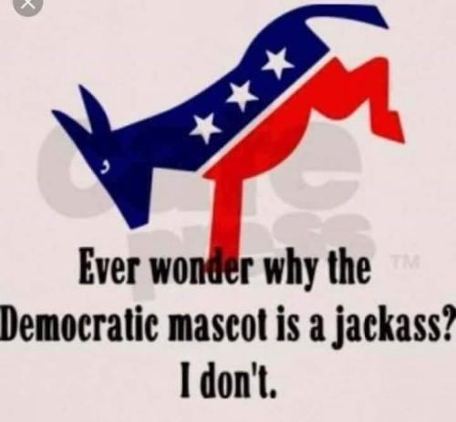 FB_IMG_1701744388656