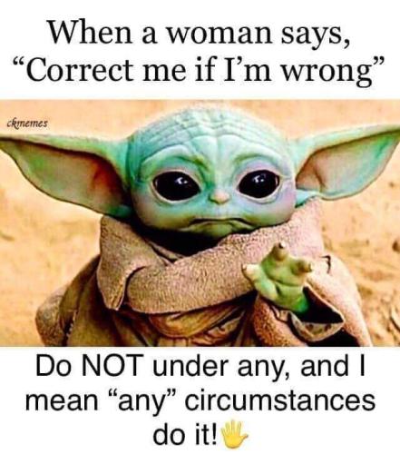FB_IMG_1703243195121