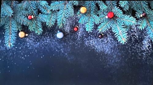 9C16924C-D793-45F5-8AE6-1C234FDDD1E8