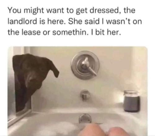 FB_IMG_1704044864880