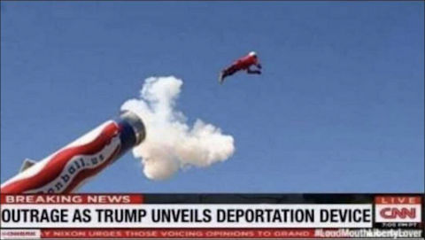 illegal immigration366