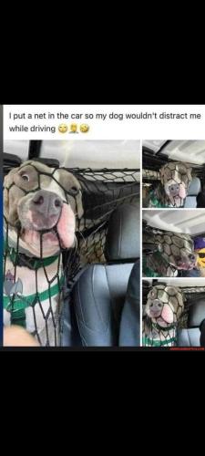 Screenshot_20230823-125020_Gallery