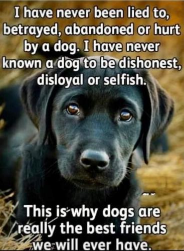 FB_IMG_1703555200778
