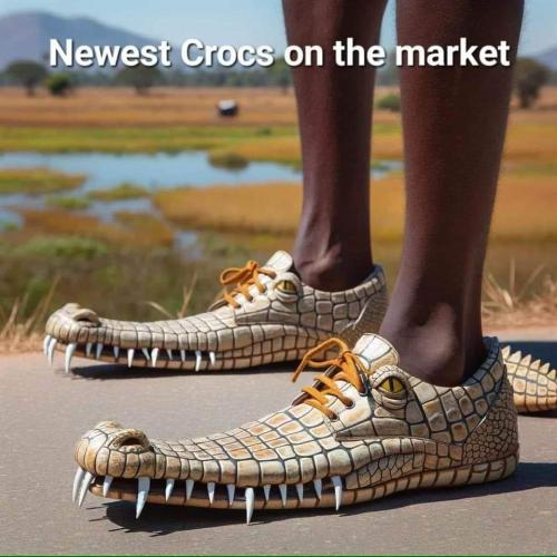 new crocs