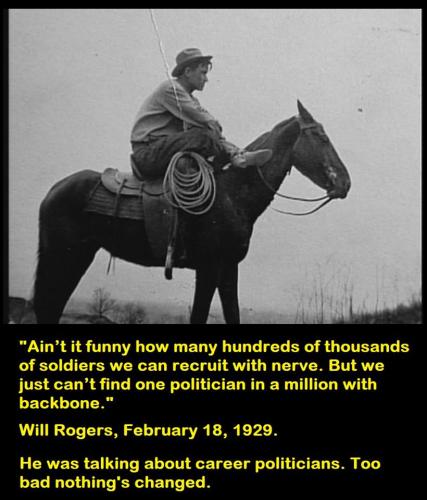 career politicians commentary