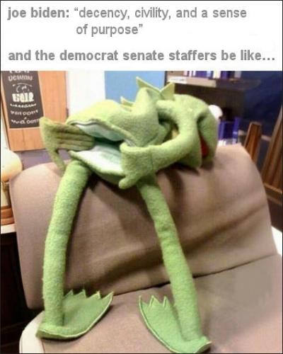 democrat senate staffers00