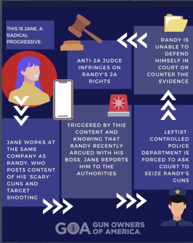 How red flag laws work