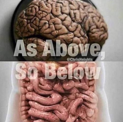 IMG_20231130_060633_536