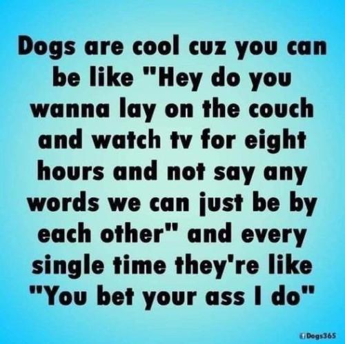 85e7bc93c55d3c00f3d496190cbff891