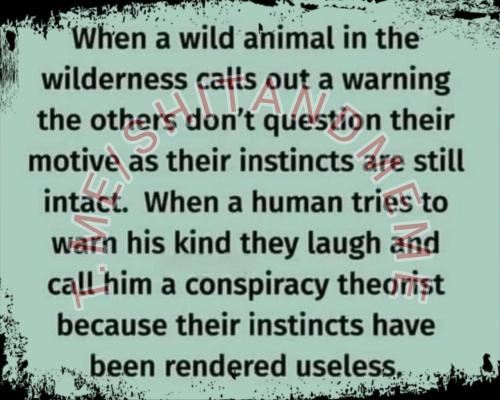 IMG_20231214_104630_634