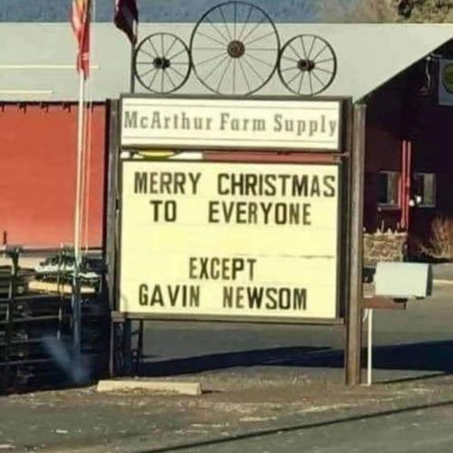 FB_IMG_1703352826502