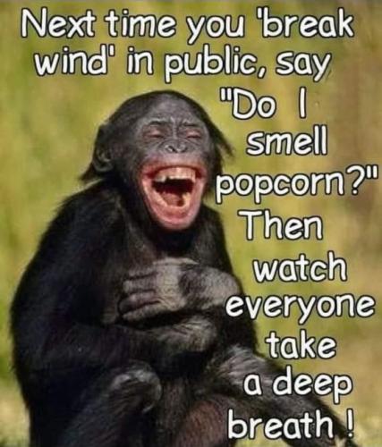 2830bdec6a5f1b4fef1081c07927c1c3