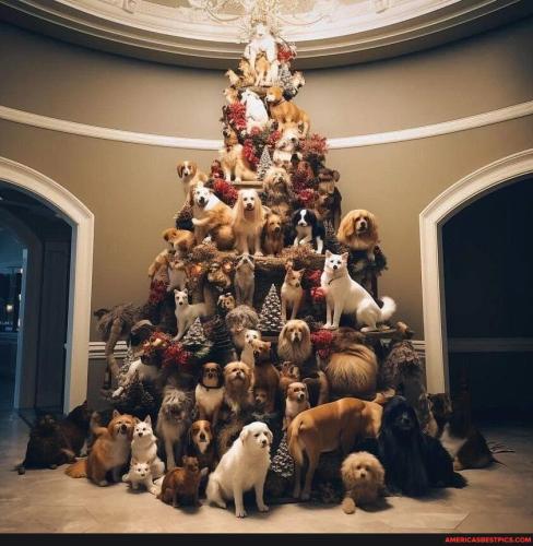 7a119cd173f367cf3dcafc269d051fe99b49ced9908278e19a655a61c0d01434_1