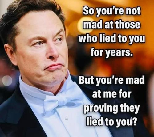 Musk vs lies
